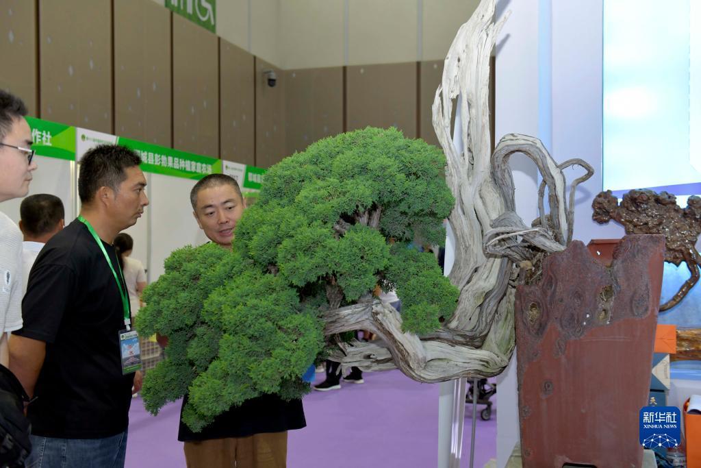 百老汇爵士乐
